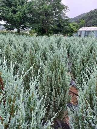 김재호님의 작성글 사진