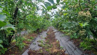 김동만님의 자유주제 · 자유게시판 작성글 사진