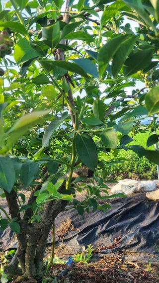 김동만님의 자유주제 · 자유게시판 작성글 사진