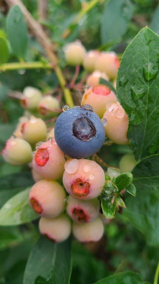 김동만님의 자유주제 · 자유게시판 작성글 사진