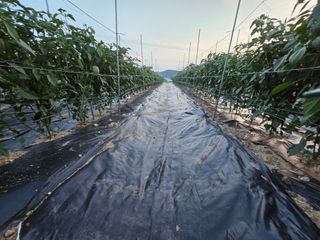 홍성덕님의 자유주제 · 자유게시판 작성글 사진