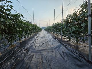 홍성덕님의 자유주제 · 자유게시판 작성글 사진