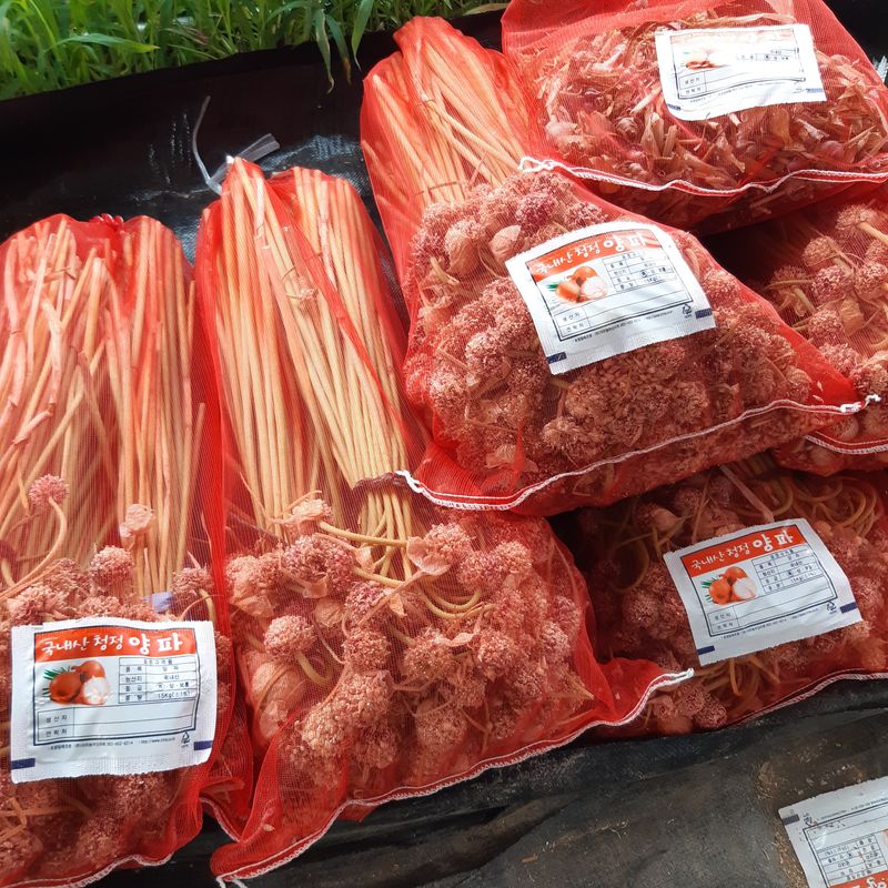 장터 상품 [마늘꽃 (주아)] 썸네일