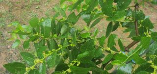 평정리님의 자유주제 · 자유게시판 작성글 사진