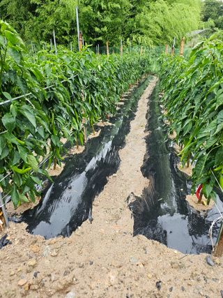 유진식님의 자유주제 · 자유게시판 작성글 사진