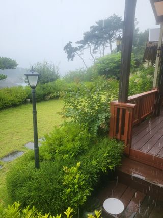 대운이네농원님의 자유주제 · 자유게시판 작성글 사진