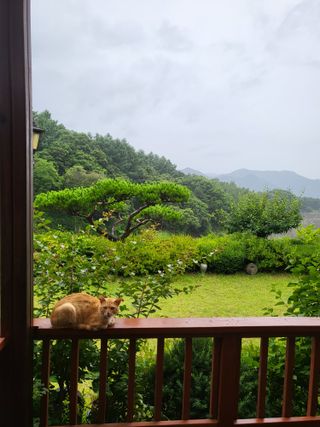 대운이네농원님의 자유주제 · 자유게시판 작성글 사진