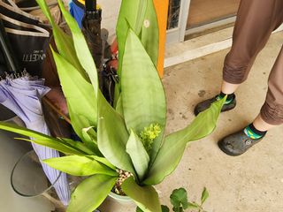 강촌지기님의 자유주제 · 자유게시판 작성글 사진