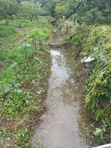 팜모닝 감·영농일지 게시글 이미지