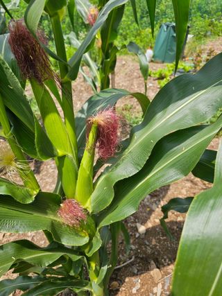 farmer님의 자유주제 · 자유게시판 작성글 사진