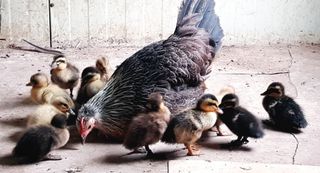 계초님의 자유주제 · 자유게시판 작성글 사진