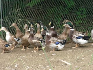 계초님의 자유주제 · 자유게시판 작성글 사진