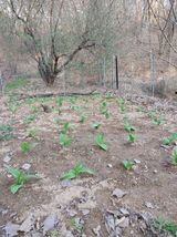 팜모닝 자유주제·자유게시판 게시글 이미지