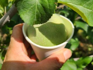 화성농원님의 사과 · 일상 작성글 사진