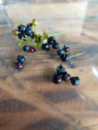 진영혜님의 자유주제 · 자유게시판 작성글 사진