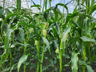  이순길 님의 작성글 사진