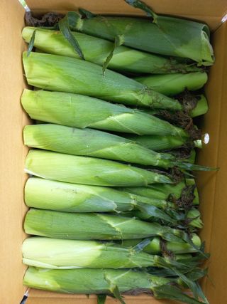  이순길 님의 작성글 사진