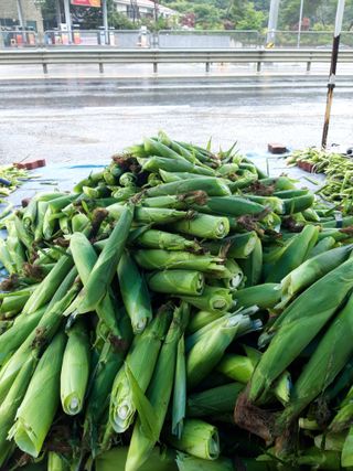  이순길 님의 작성글 사진