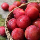 팜모닝 · 게시글 이미지