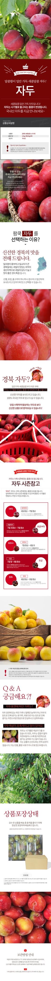 정유진님의 장터 판매 상품 [새콤달콤 노지 자두 4.5kg 개당 30g 내외] 첨부 사진