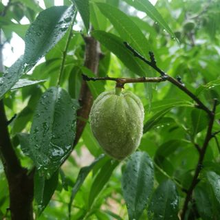 인생은 소풍처럼님의 농사, 무엇이든 물어보세요! · 참여글 작성글 사진