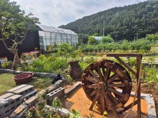 김영수님의 고추 · 영농일지 작성글 사진