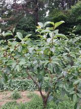 팜모닝 자유주제·자유게시판 게시글 이미지