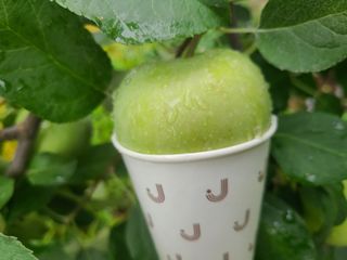 화성농원님의 사과 · 일상 작성글 사진