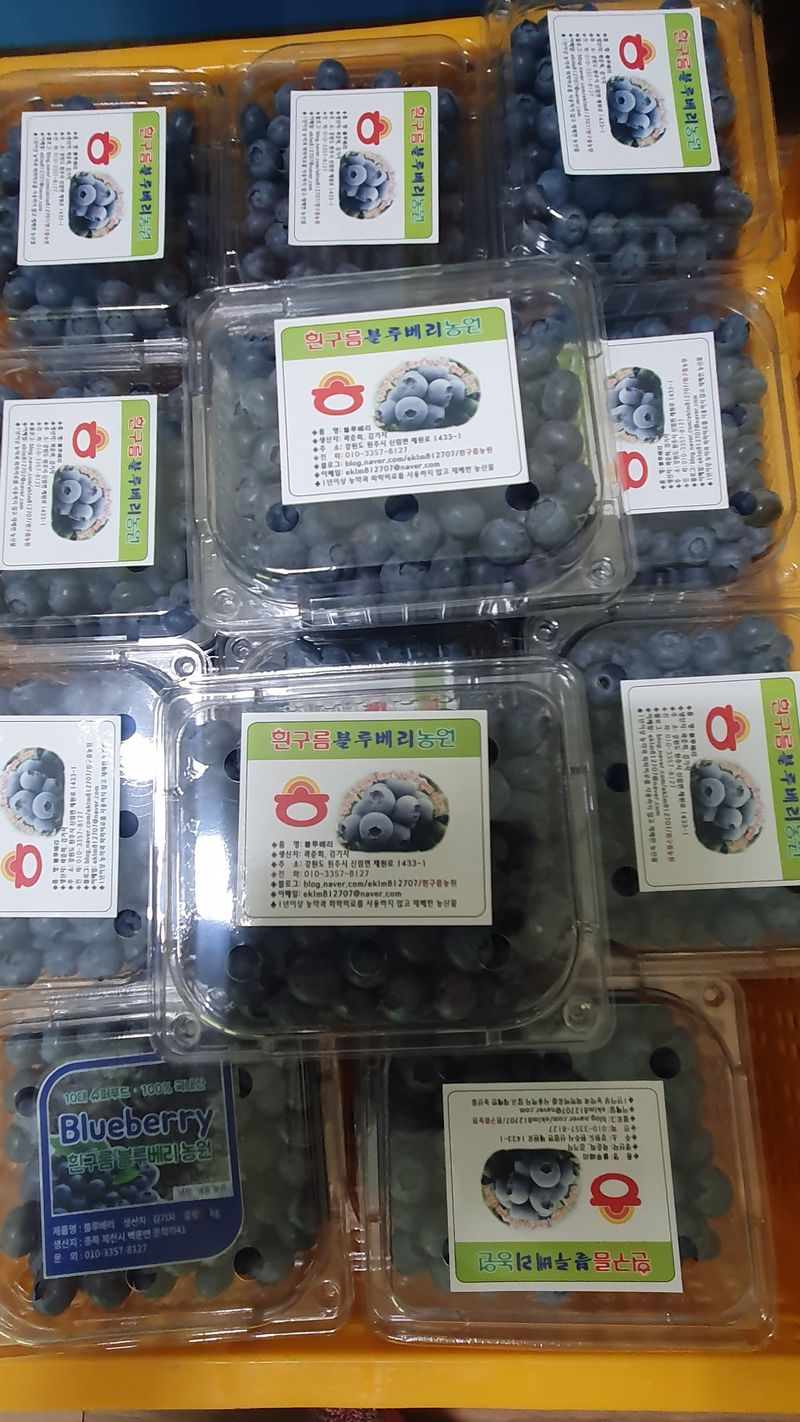 장터 상품 [블루베리 1kg] 썸네일