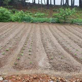 인생은 소풍처럼님의 자유주제 · 자유게시판 작성글 사진