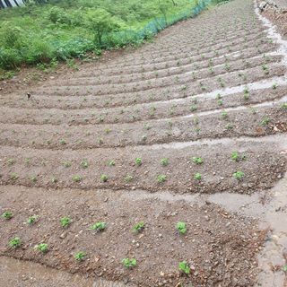 인생은 소풍처럼님의 자유주제 · 자유게시판 작성글 사진