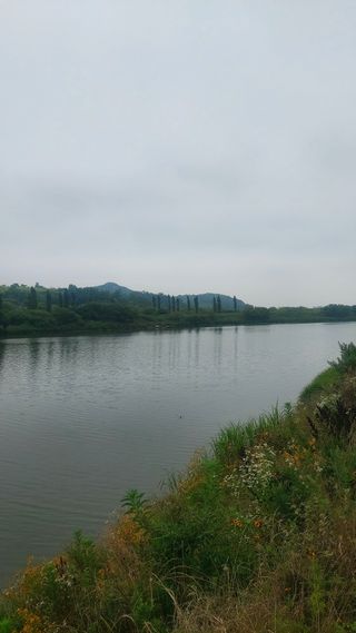 둥이농장(김준태)님의 자유주제 · 자유게시판 작성글 사진