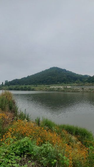 둥이농장(김준태)님의 자유주제 · 자유게시판 작성글 사진