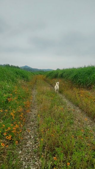 둥이농장(김준태)님의 자유주제 · 자유게시판 작성글 사진