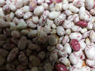 구정남님의 기타작물 · 영농일지 작성글 사진