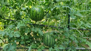 이서구님의 자유주제 · 자유게시판 작성글 사진