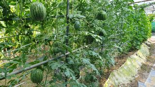 이서구님의 자유주제 · 자유게시판 작성글 사진