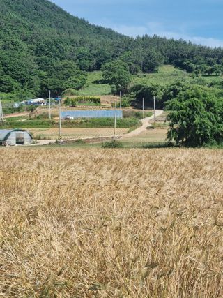 장준석님의 자유주제 · 자유게시판 작성글 사진