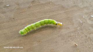 이종선님의 자유주제 · 자유게시판 작성글 사진