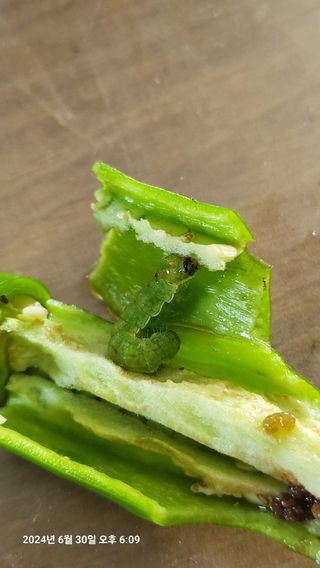 이종선님의 자유주제 · 자유게시판 작성글 사진