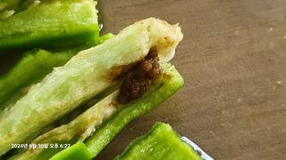 이종선님의 자유주제 · 자유게시판 작성글 사진