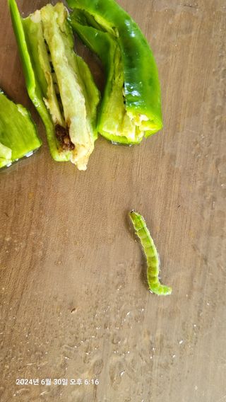 이종선님의 자유주제 · 자유게시판 작성글 사진