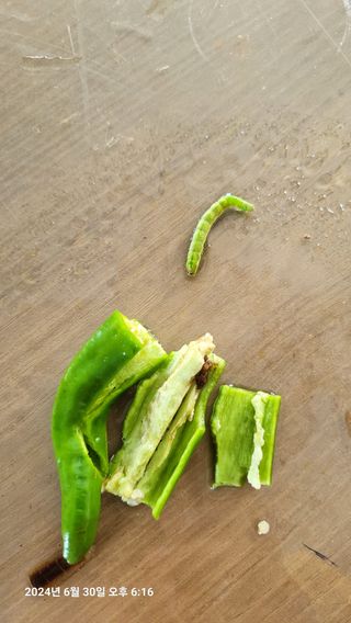 이종선님의 자유주제 · 자유게시판 작성글 사진