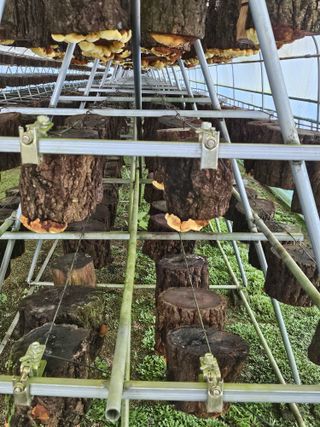 김진덕님의 자유주제 · 자유게시판 작성글 사진