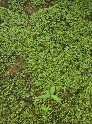 김진덕님의 자유주제 · 자유게시판 작성글 사진