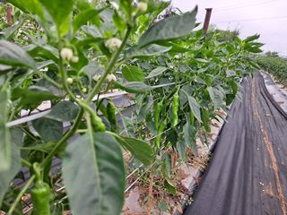 병찬님의 자유주제 · 자유게시판 작성글 사진