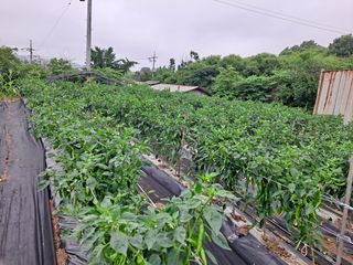 병찬님의 자유주제 · 자유게시판 작성글 사진