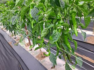 병찬님의 자유주제 · 자유게시판 작성글 사진