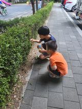 팜모닝 자유주제·자유게시판 게시글 이미지