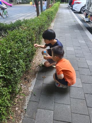 장경화님의 자유주제 · 자유게시판 작성글 사진
